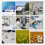 Laboratoire Proseed